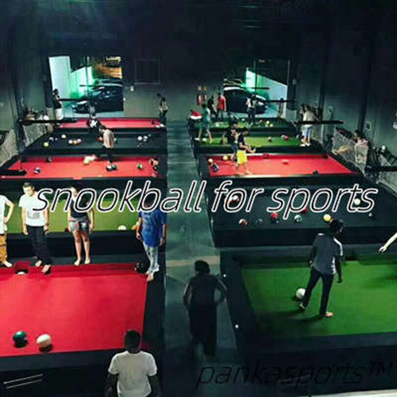 Snookball Table for Sports